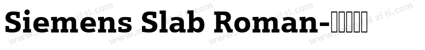 Siemens Slab Roman字体转换